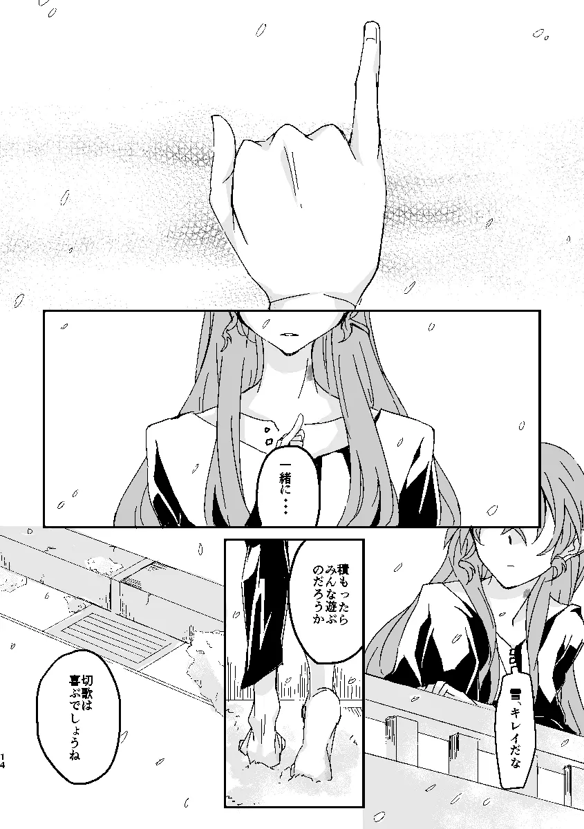 Schimmer Page.13