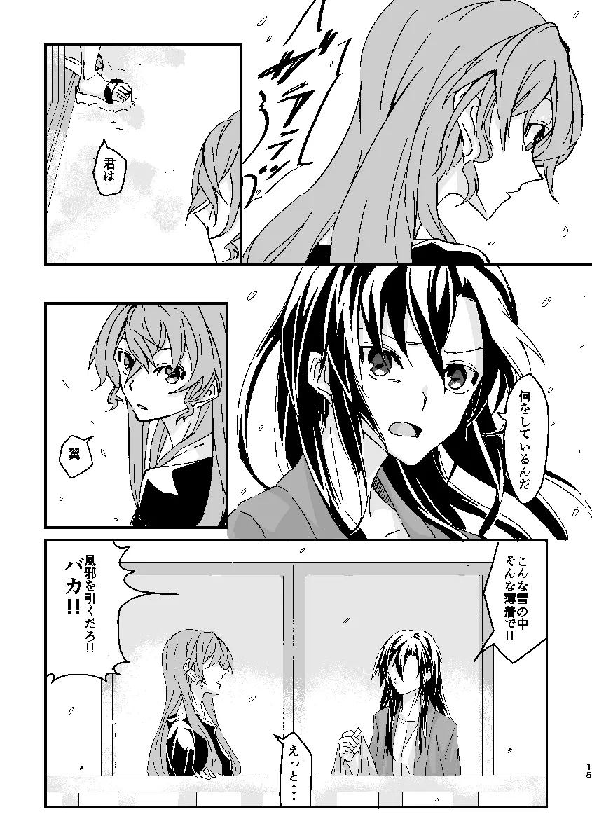Schimmer Page.14