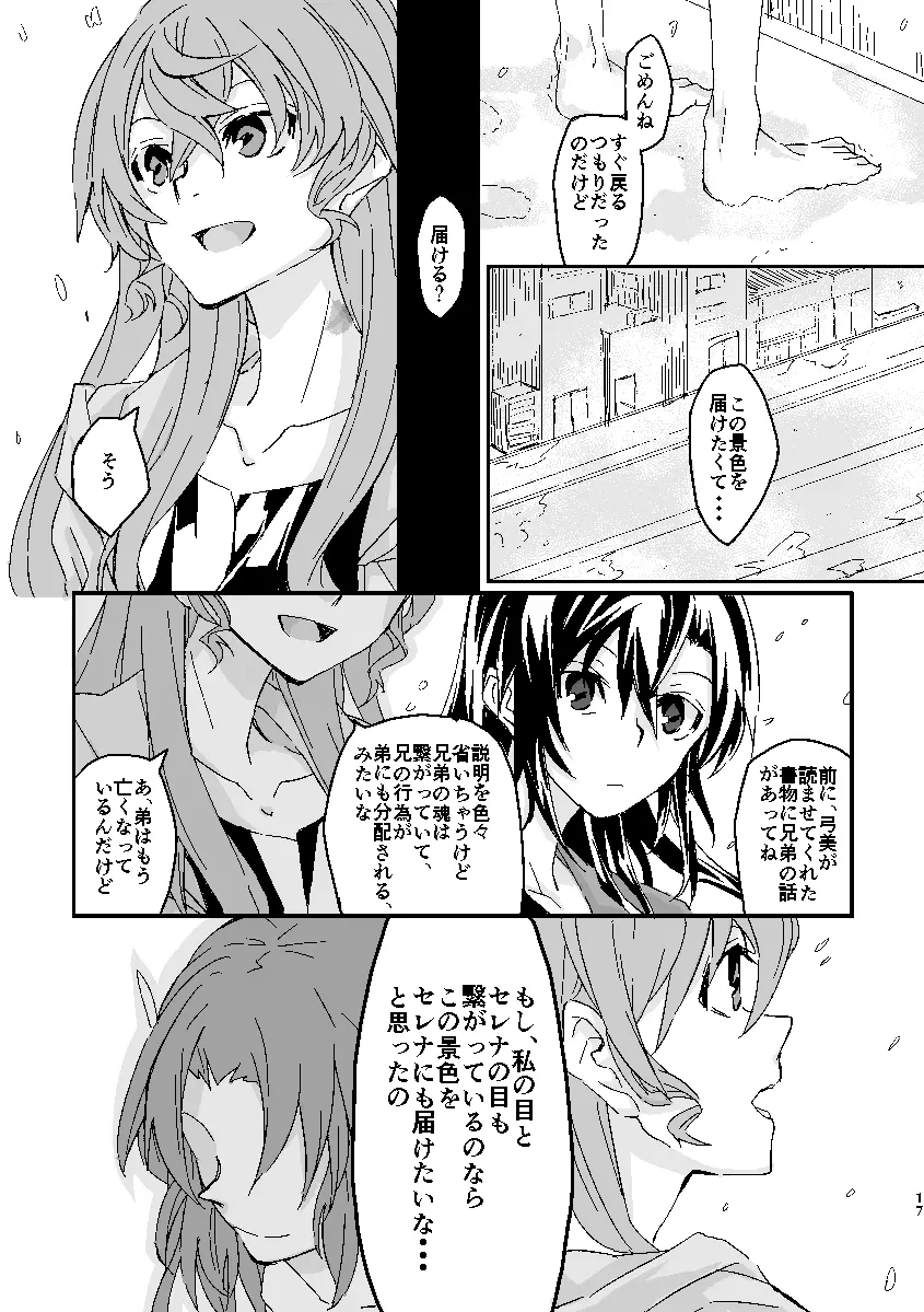 Schimmer Page.16