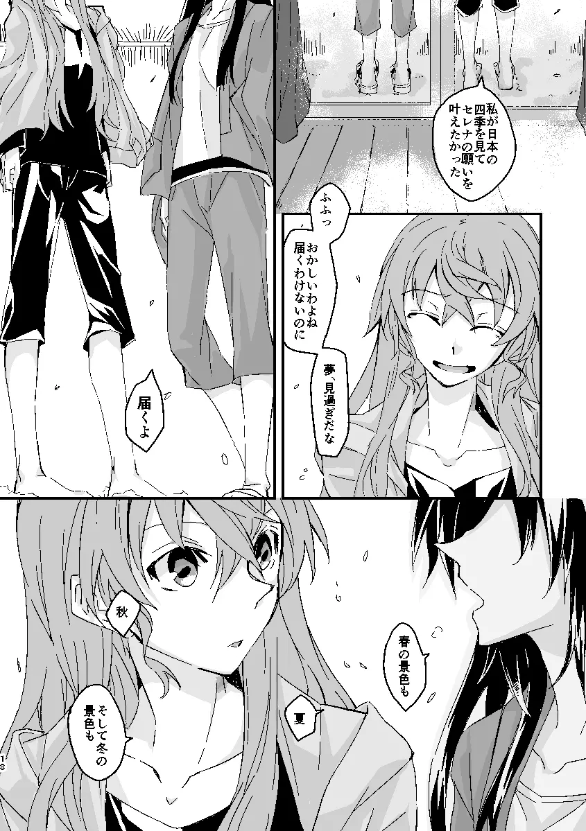 Schimmer Page.17
