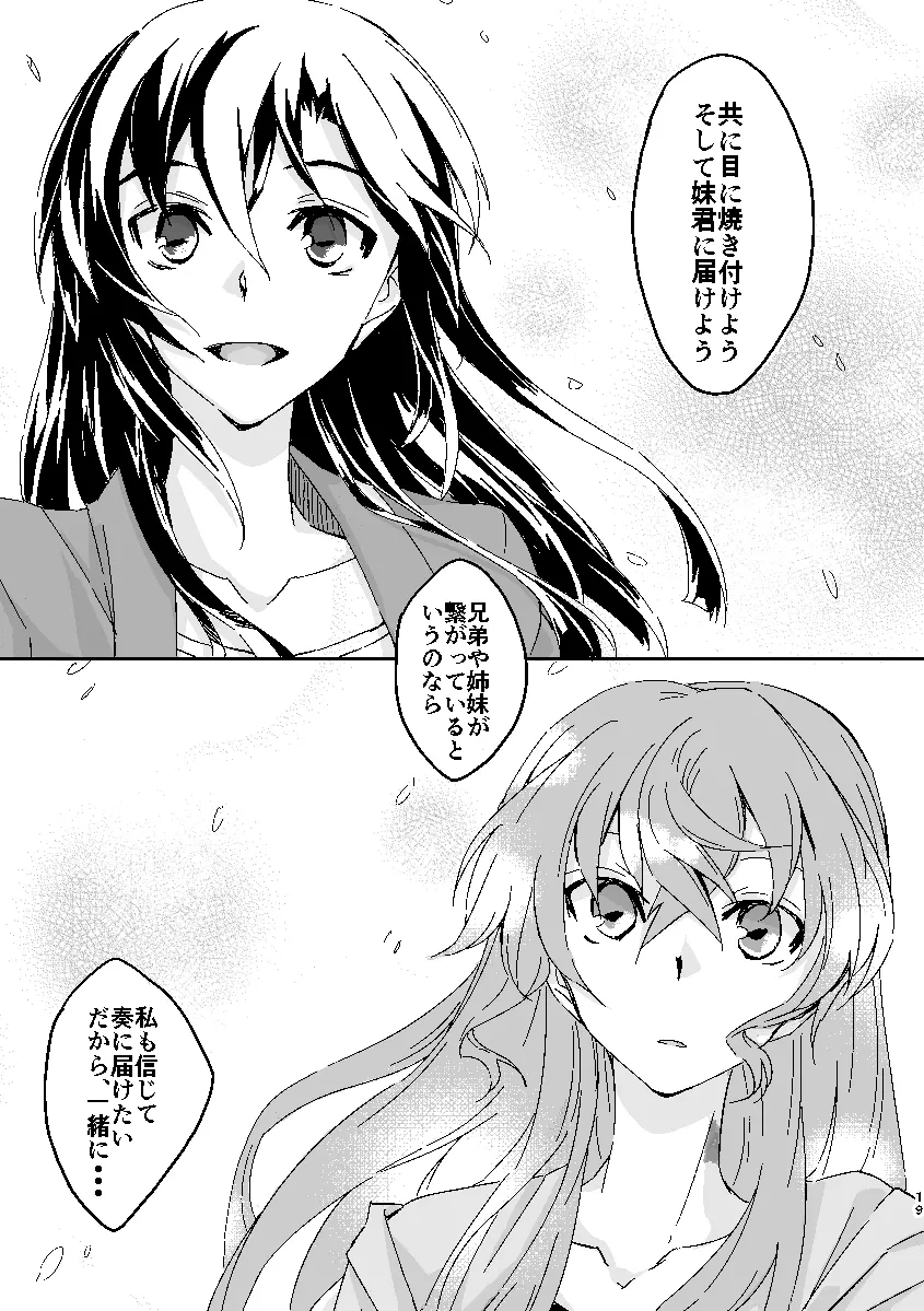Schimmer Page.18