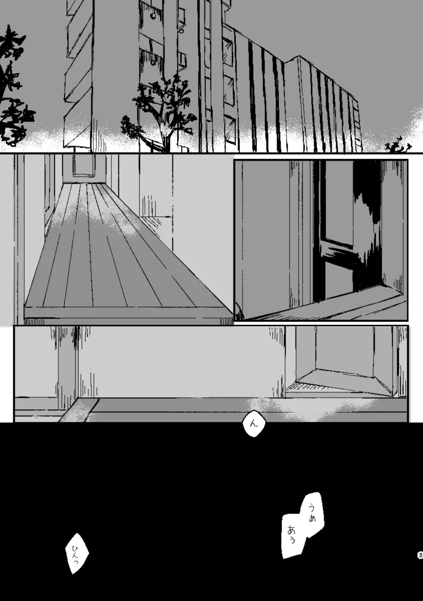 Schimmer Page.2