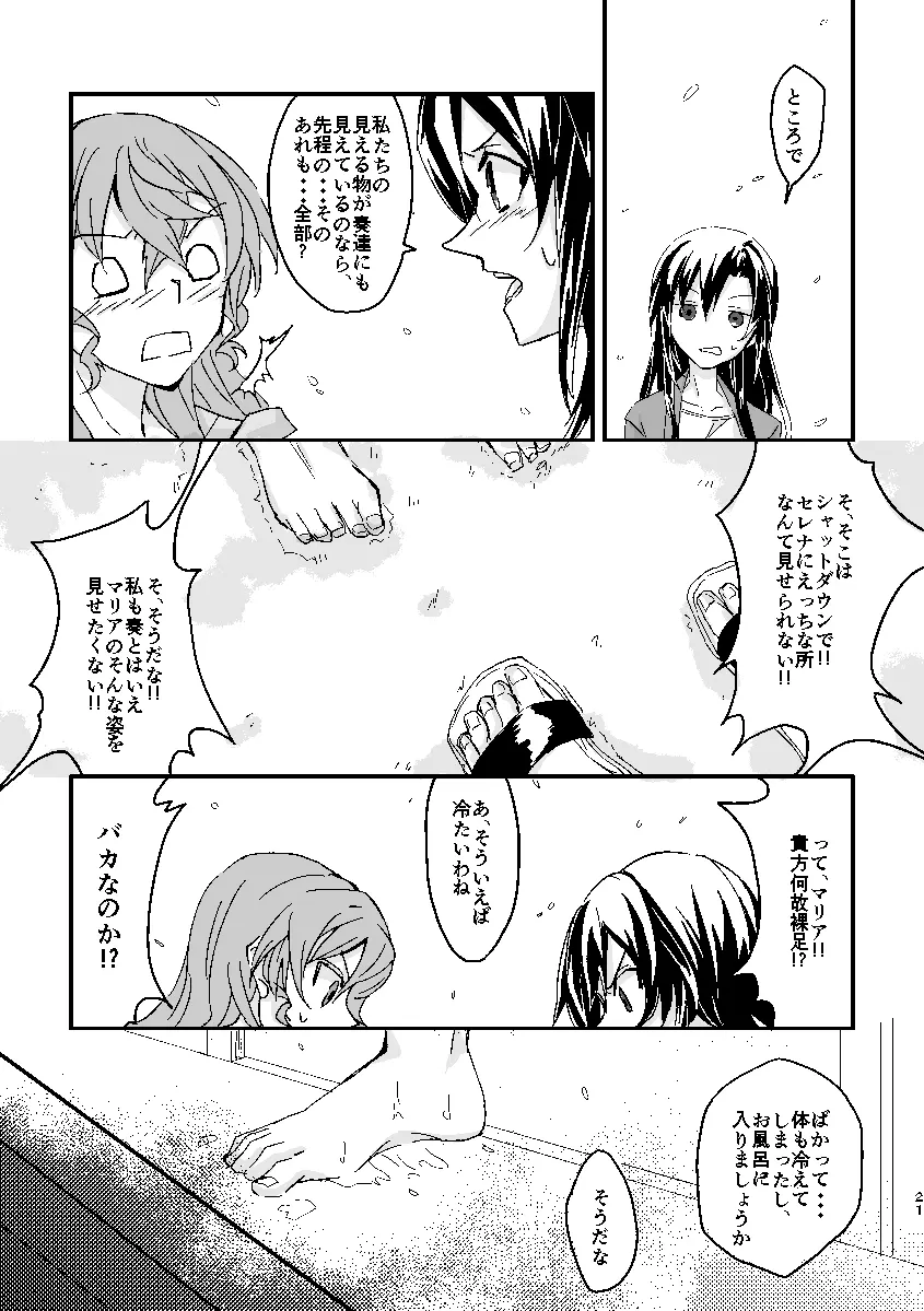 Schimmer Page.20