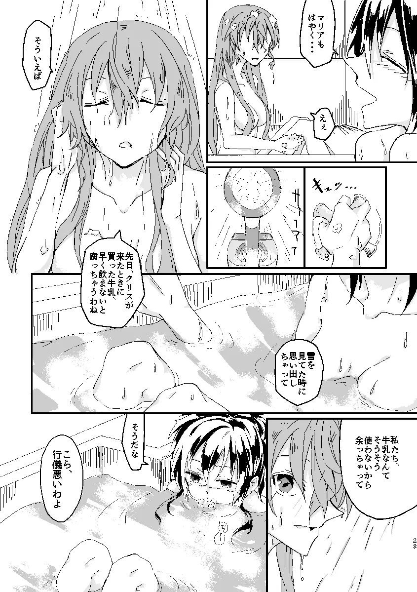 Schimmer Page.22