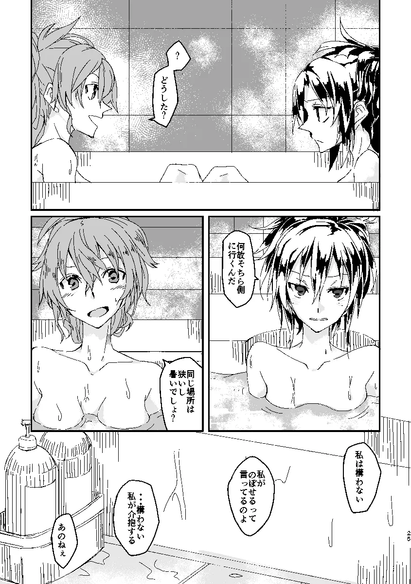 Schimmer Page.24