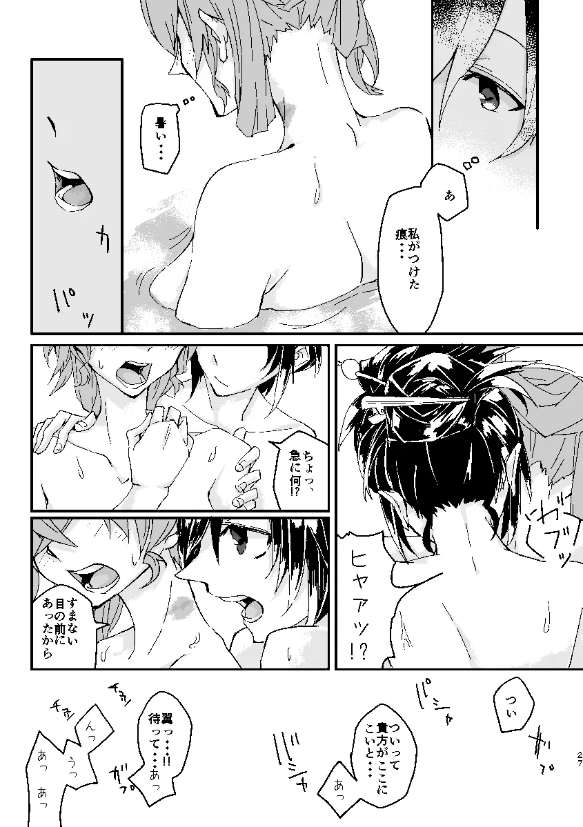 Schimmer Page.26