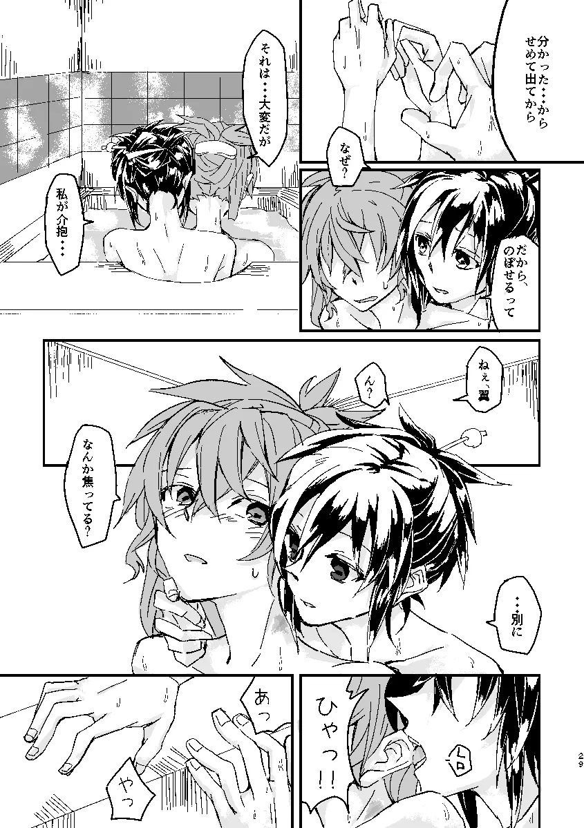 Schimmer Page.28