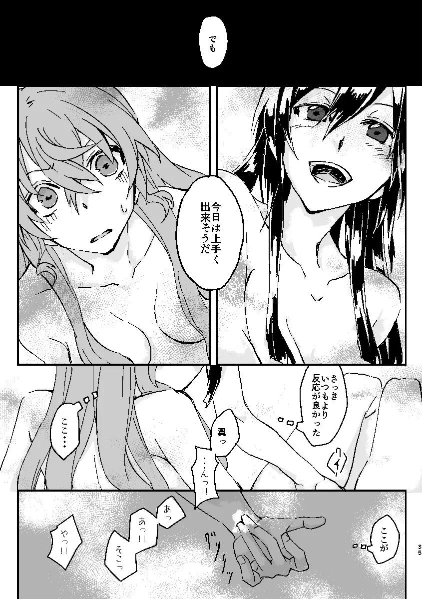 Schimmer Page.34