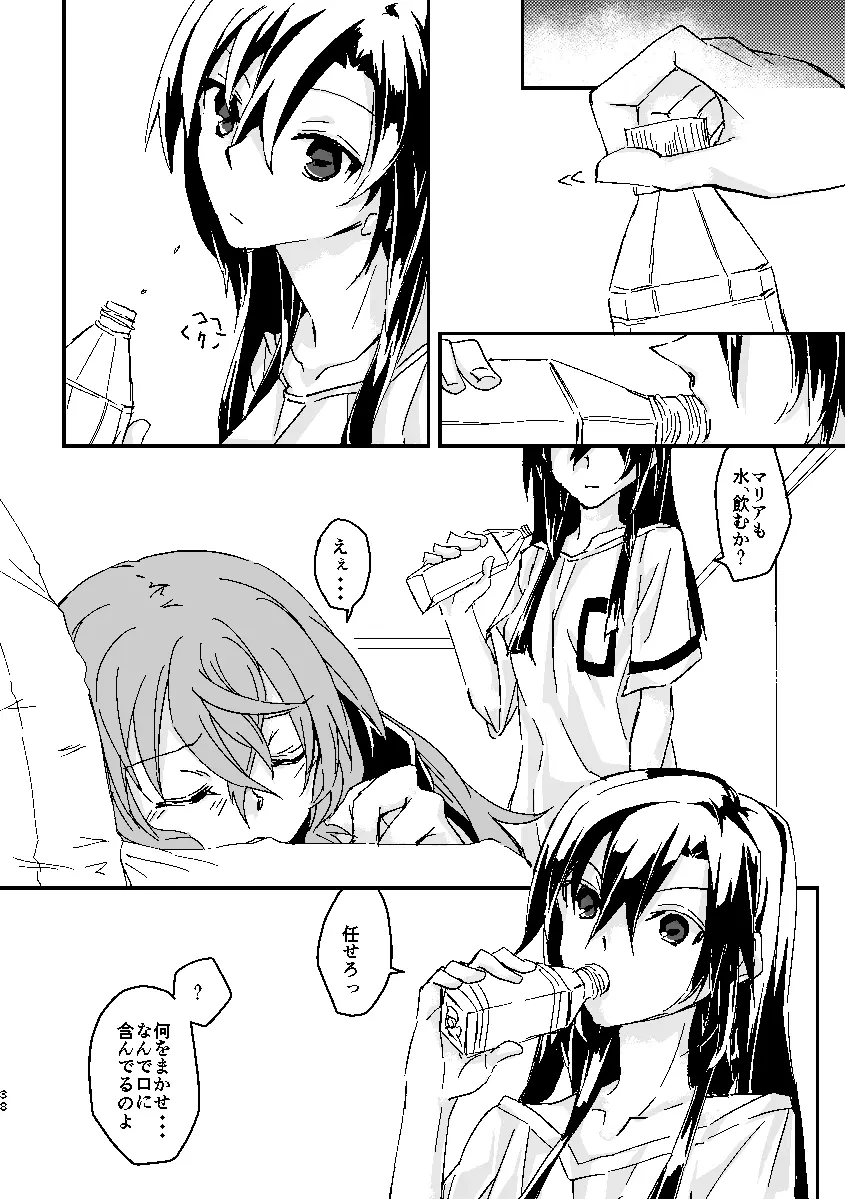 Schimmer Page.37
