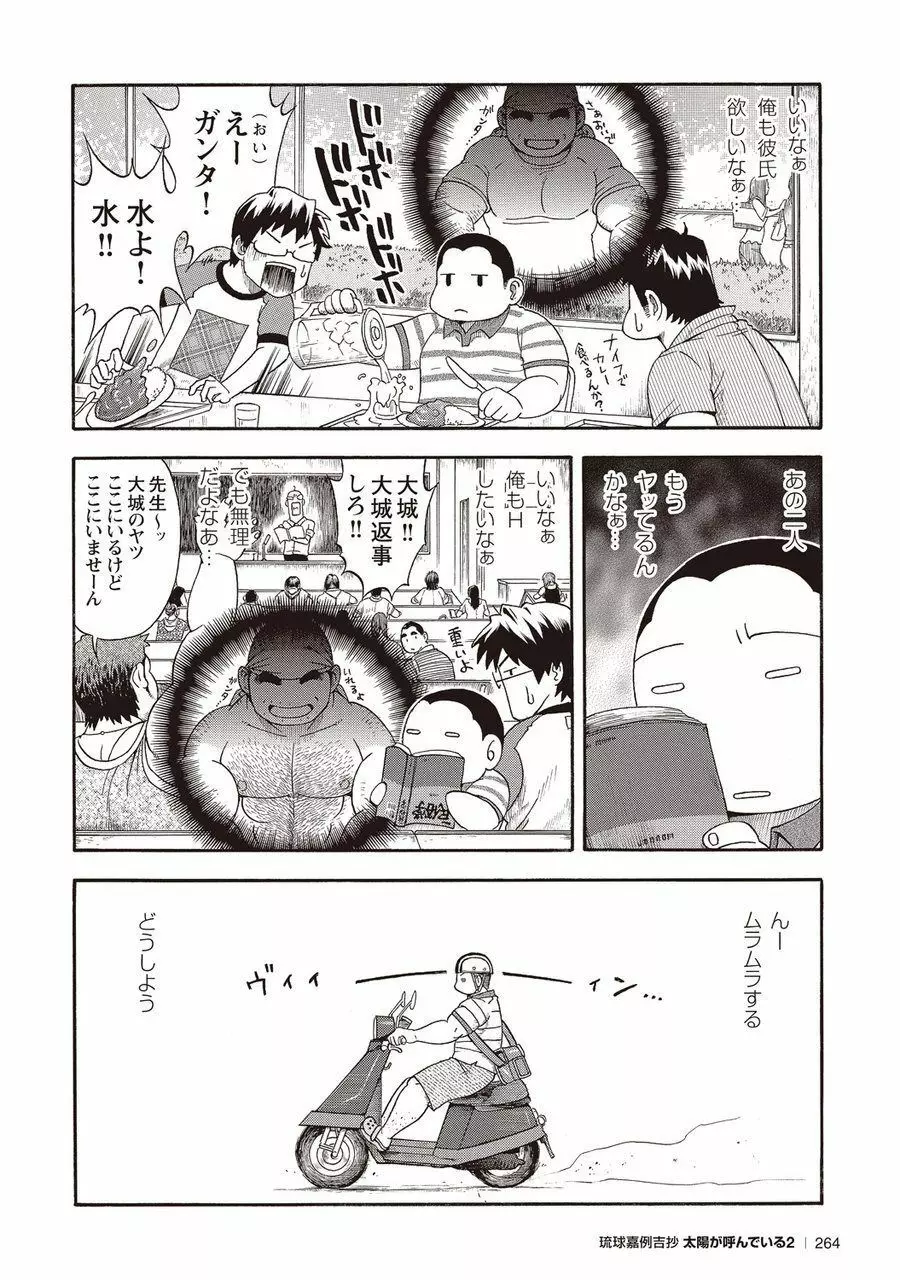 太陽が呼んでいる2 Page.255