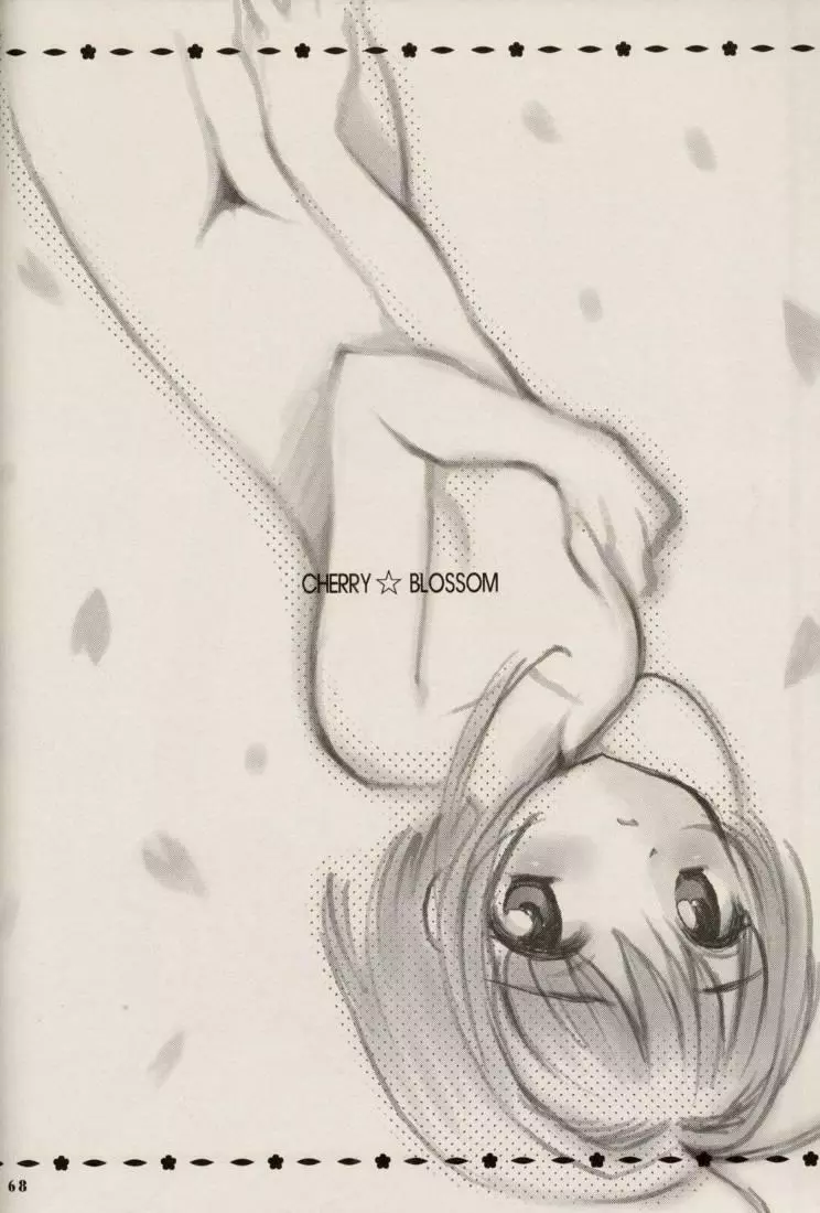 CHERRY BLOSSOM Page.68