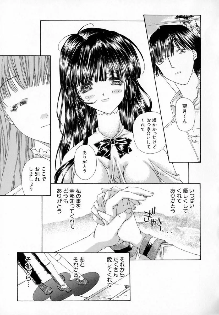 アネモネ～紅花翁草 Page.103