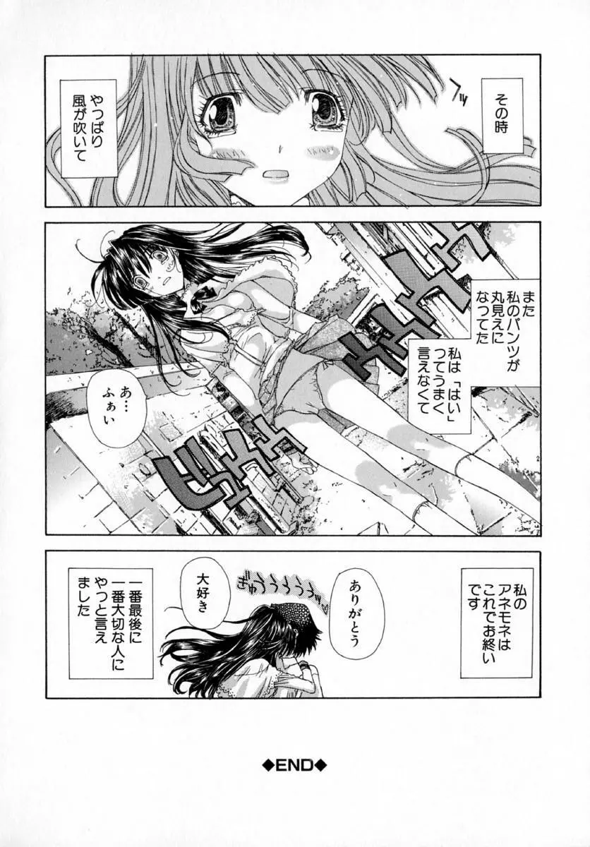 アネモネ～紅花翁草 Page.108