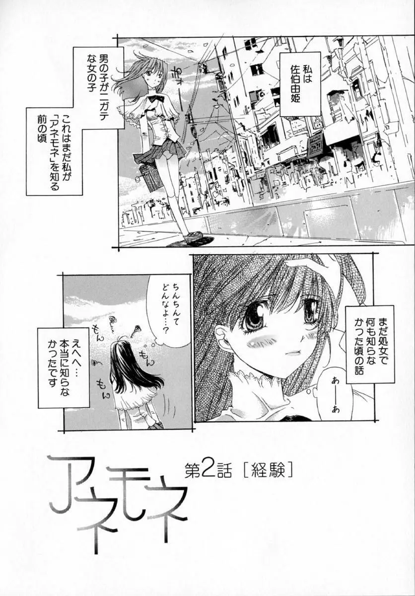 アネモネ～紅花翁草 Page.30