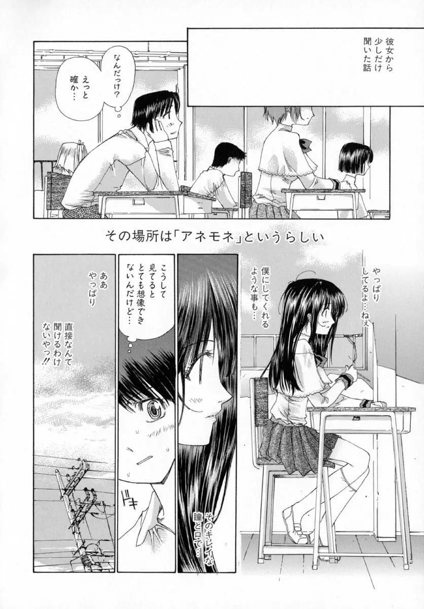 アネモネ～紅花翁草 Page.54