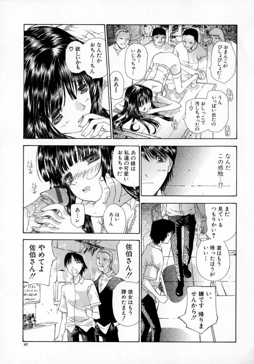 アネモネ～紅花翁草 Page.91