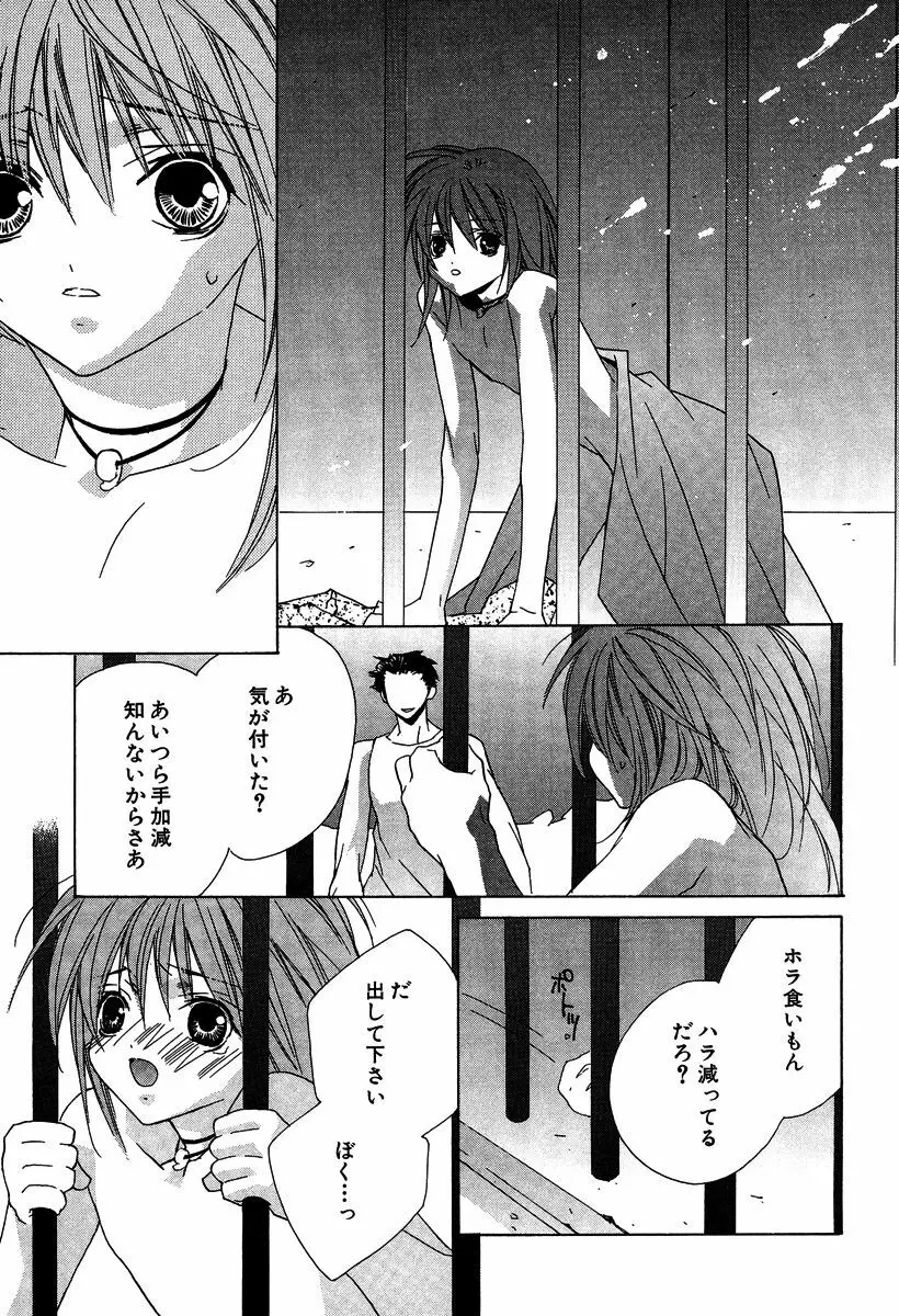 あの子とボクとあの人と Page.177