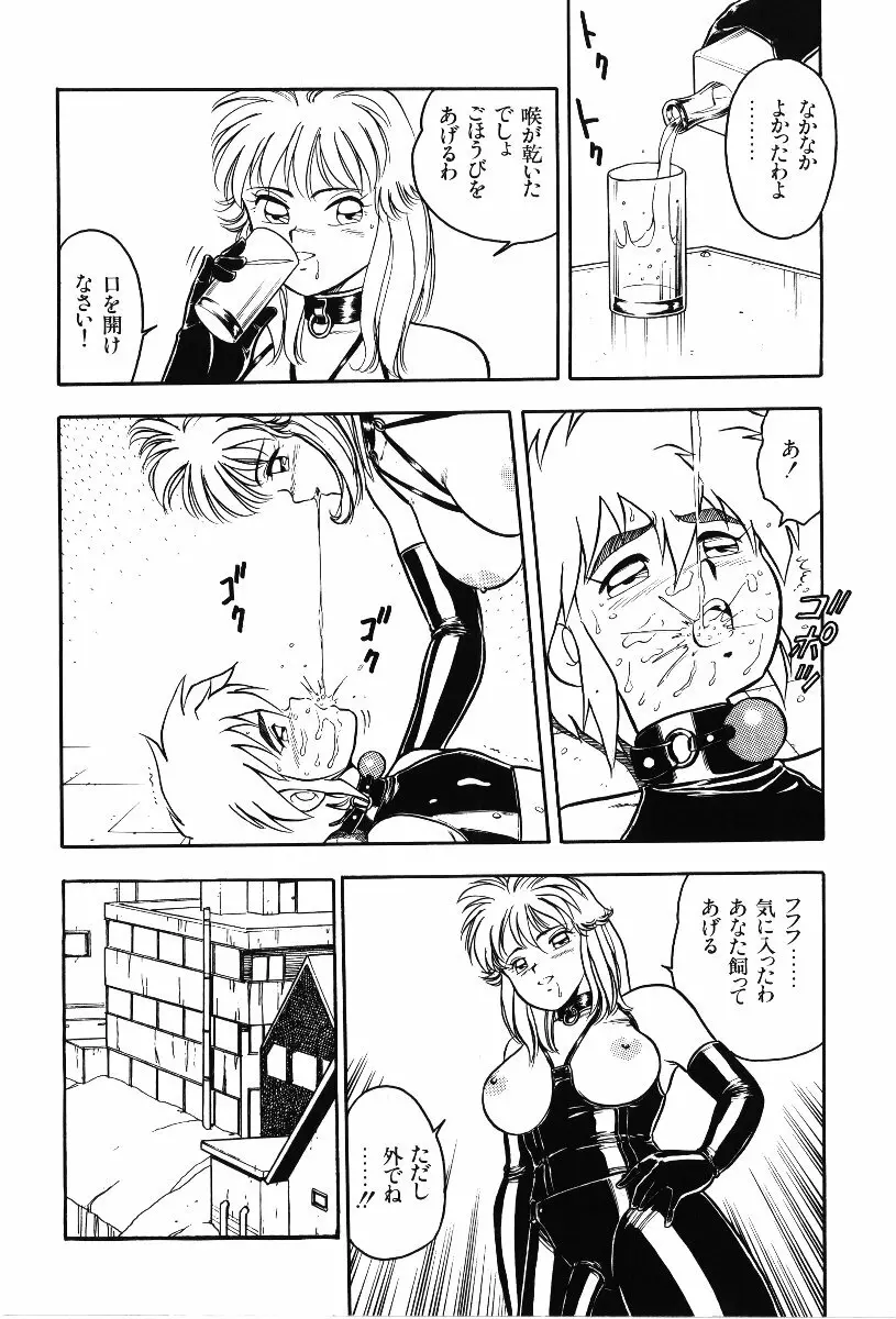 デザート・ミストレス Page.13