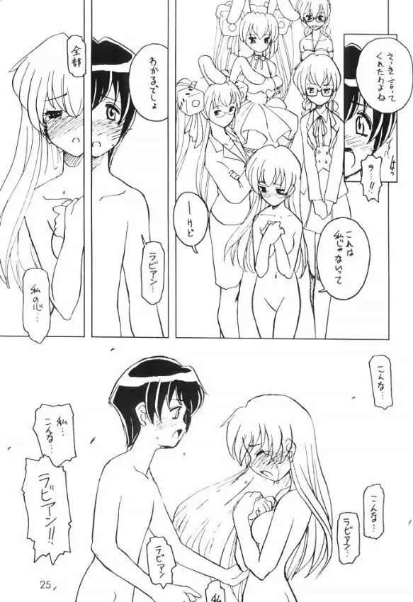 Usa De Megane 2 Page.24