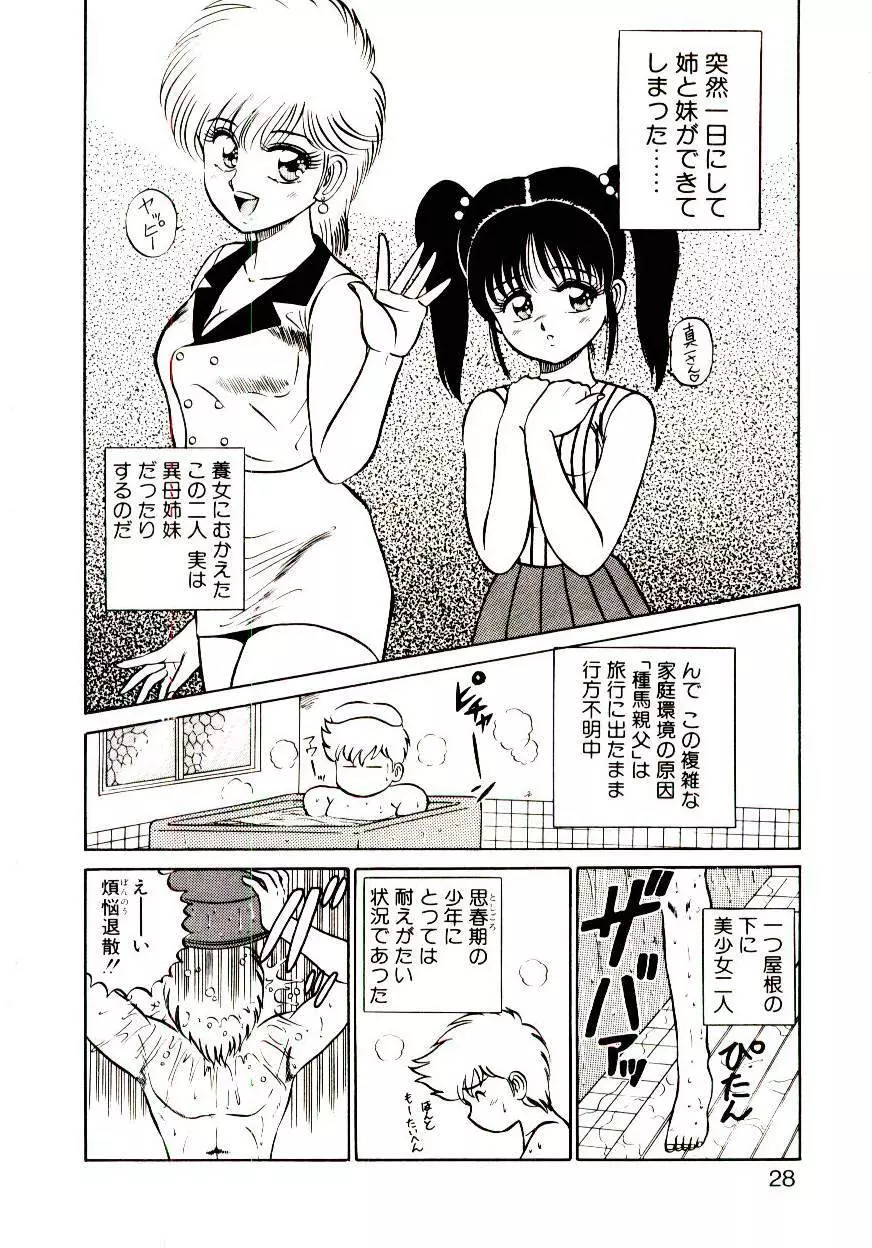 シスターズパニック Page.28