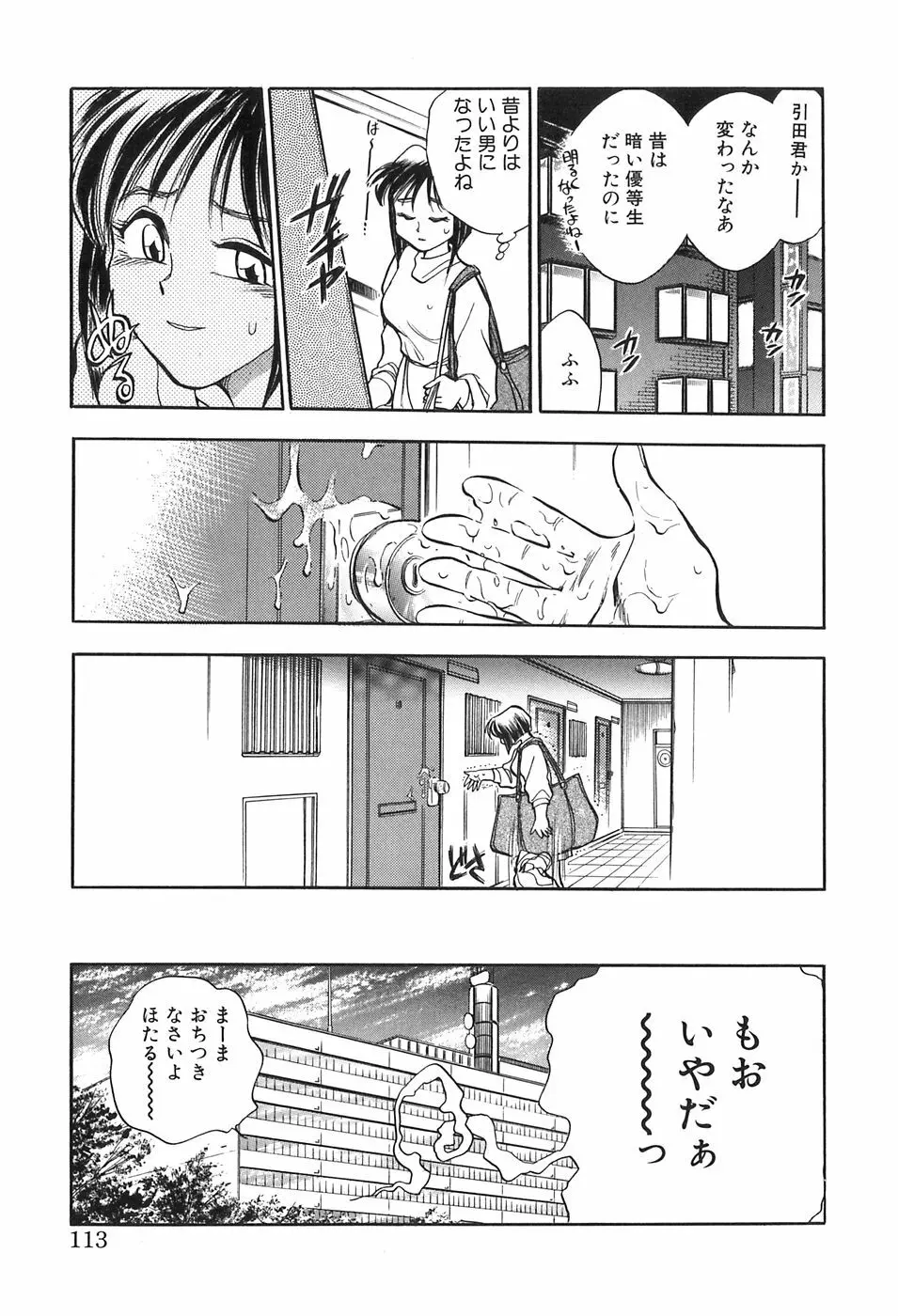 ほたるのきぶん Page.113