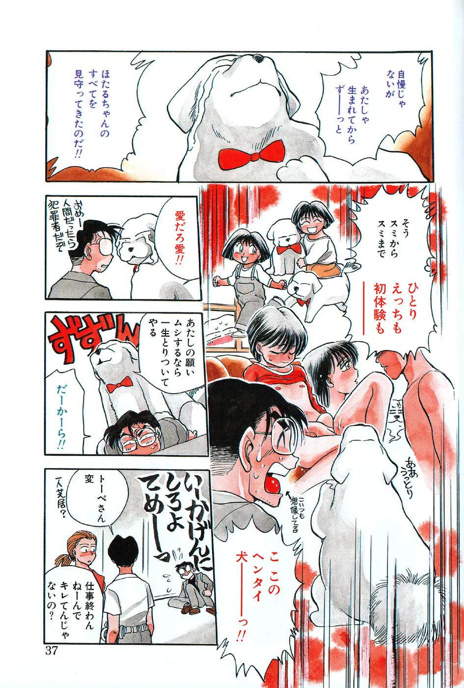 ほたるのきぶん Page.37