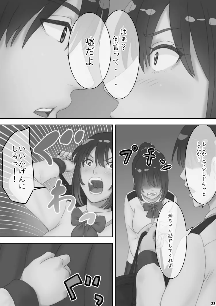 さあ、Ｓな姉をしつけてやろう Page.25