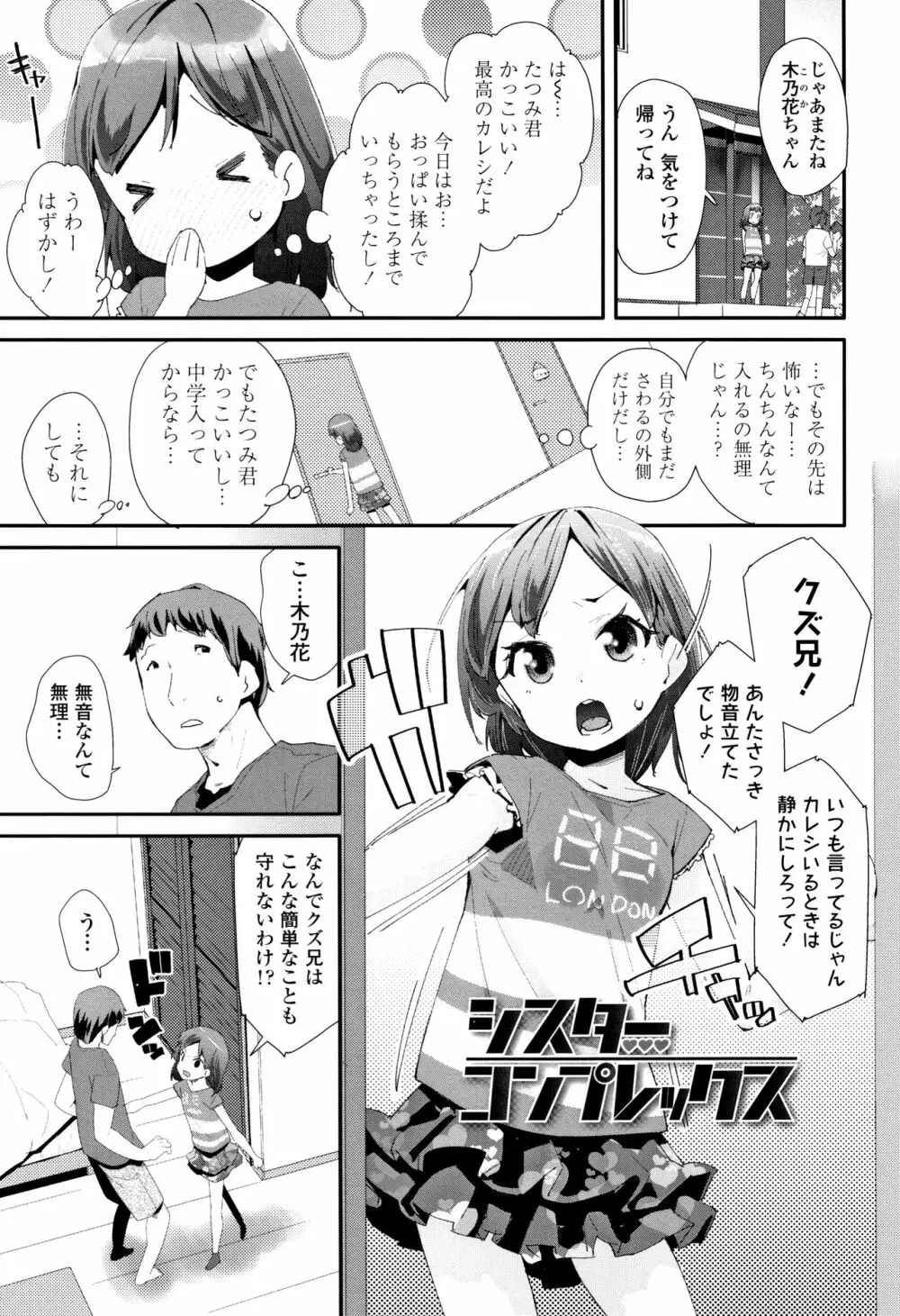 おとなのおもちゃの使い方 + 4Pリーフレット Page.108