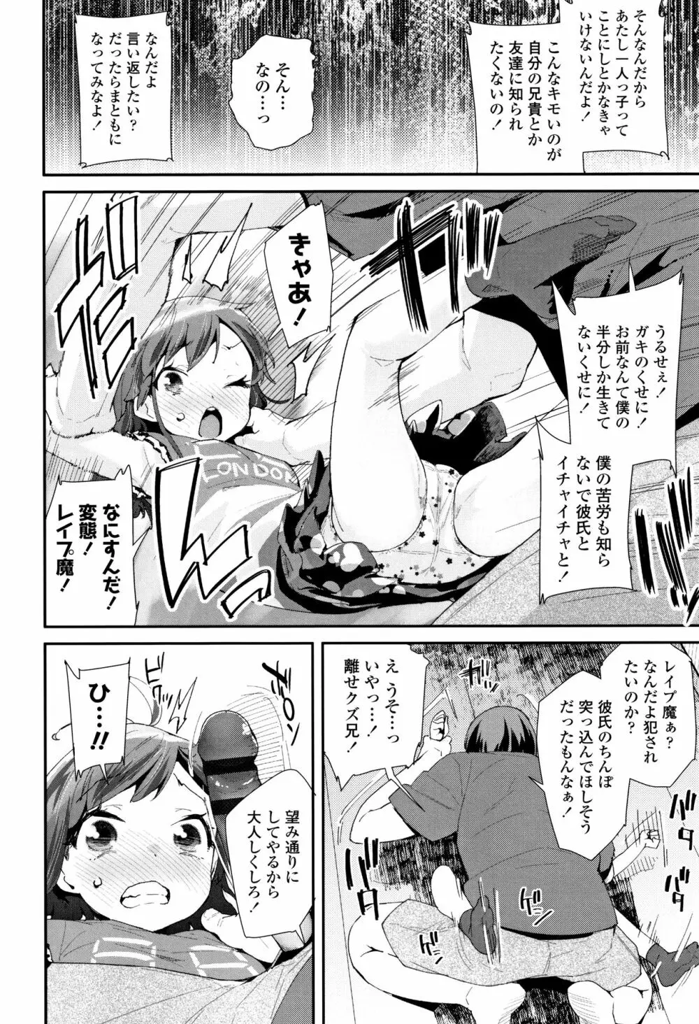 おとなのおもちゃの使い方 + 4Pリーフレット Page.111