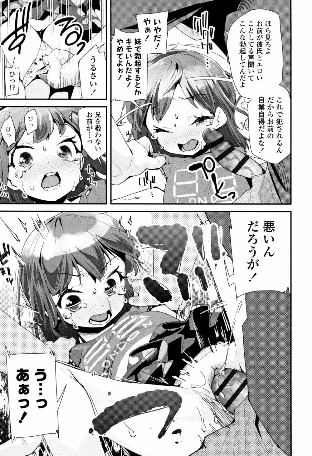 おとなのおもちゃの使い方 + 4Pリーフレット Page.112