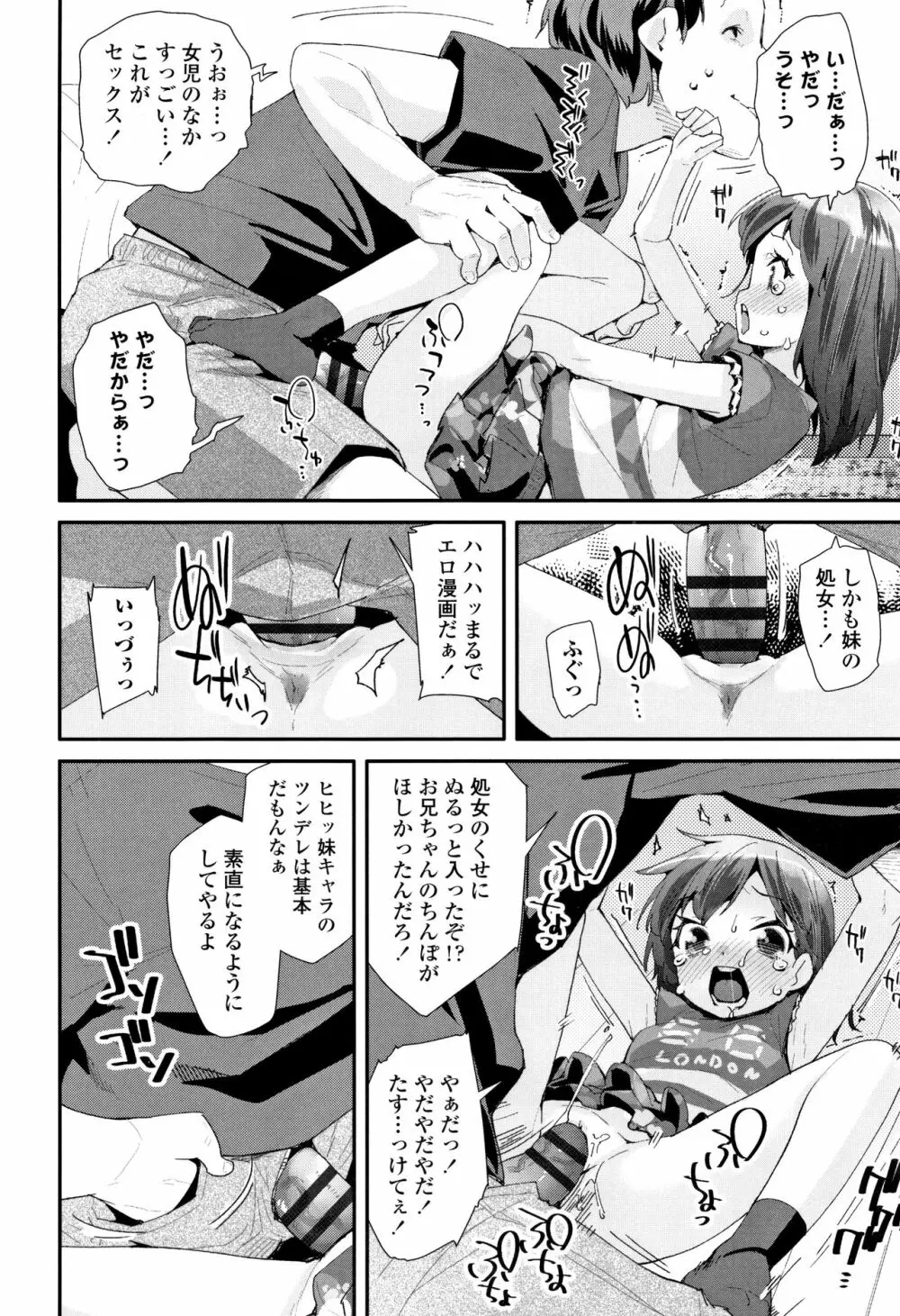 おとなのおもちゃの使い方 + 4Pリーフレット Page.113