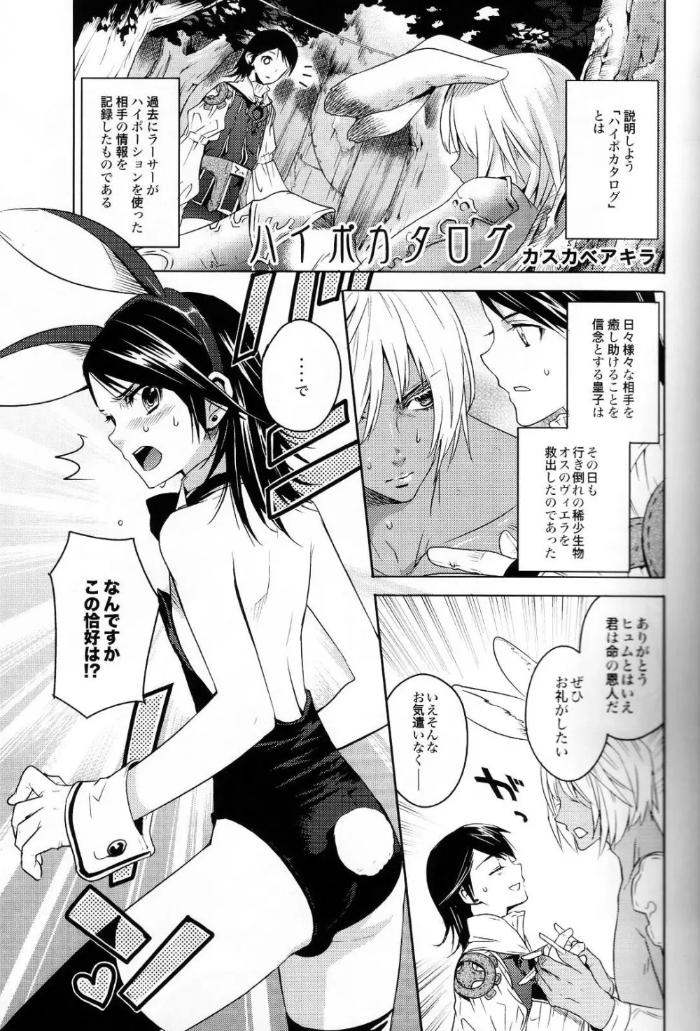 ハイポカタログ Page.4