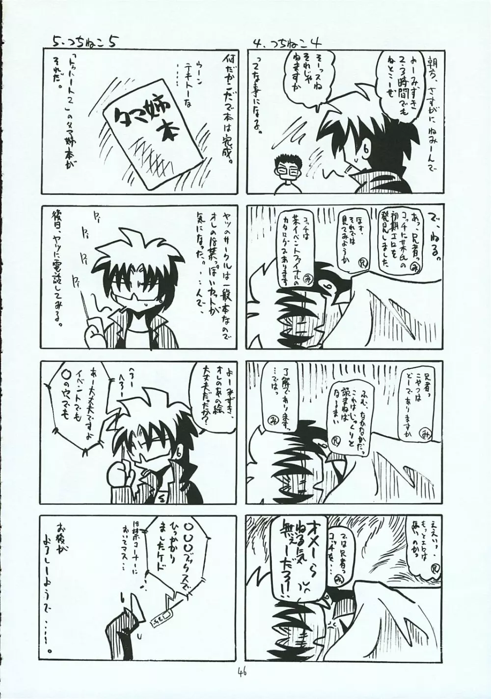 ハヤテのごとし!? 3 書店委託版 Page.45