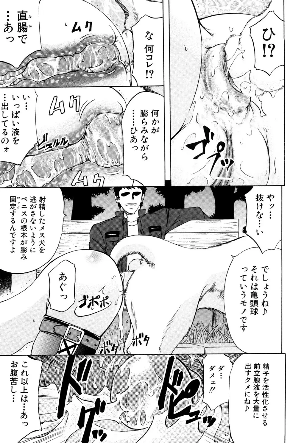 アナリスト Page.23