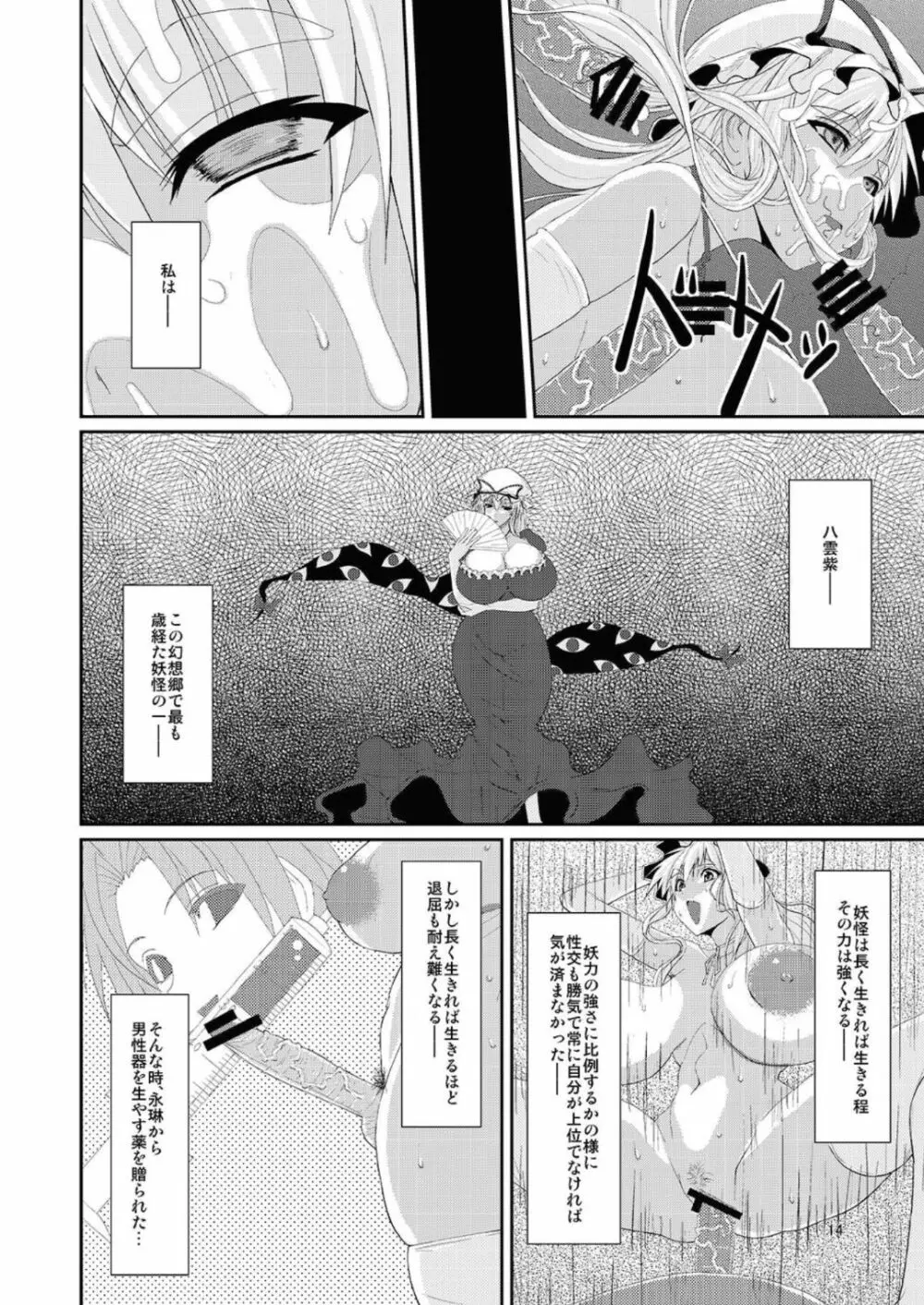 東方年増便所 -双成婆妖怪紫編- Page.14