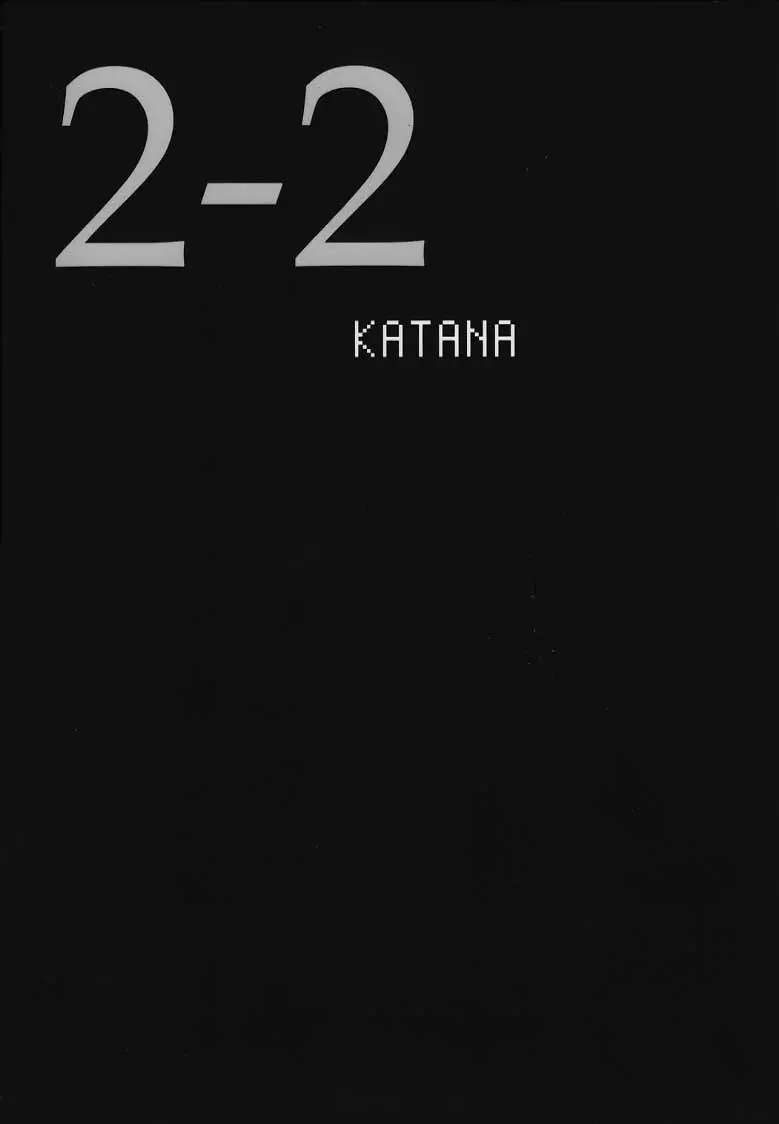 Dead or Alive 2-2 Katana Page.13