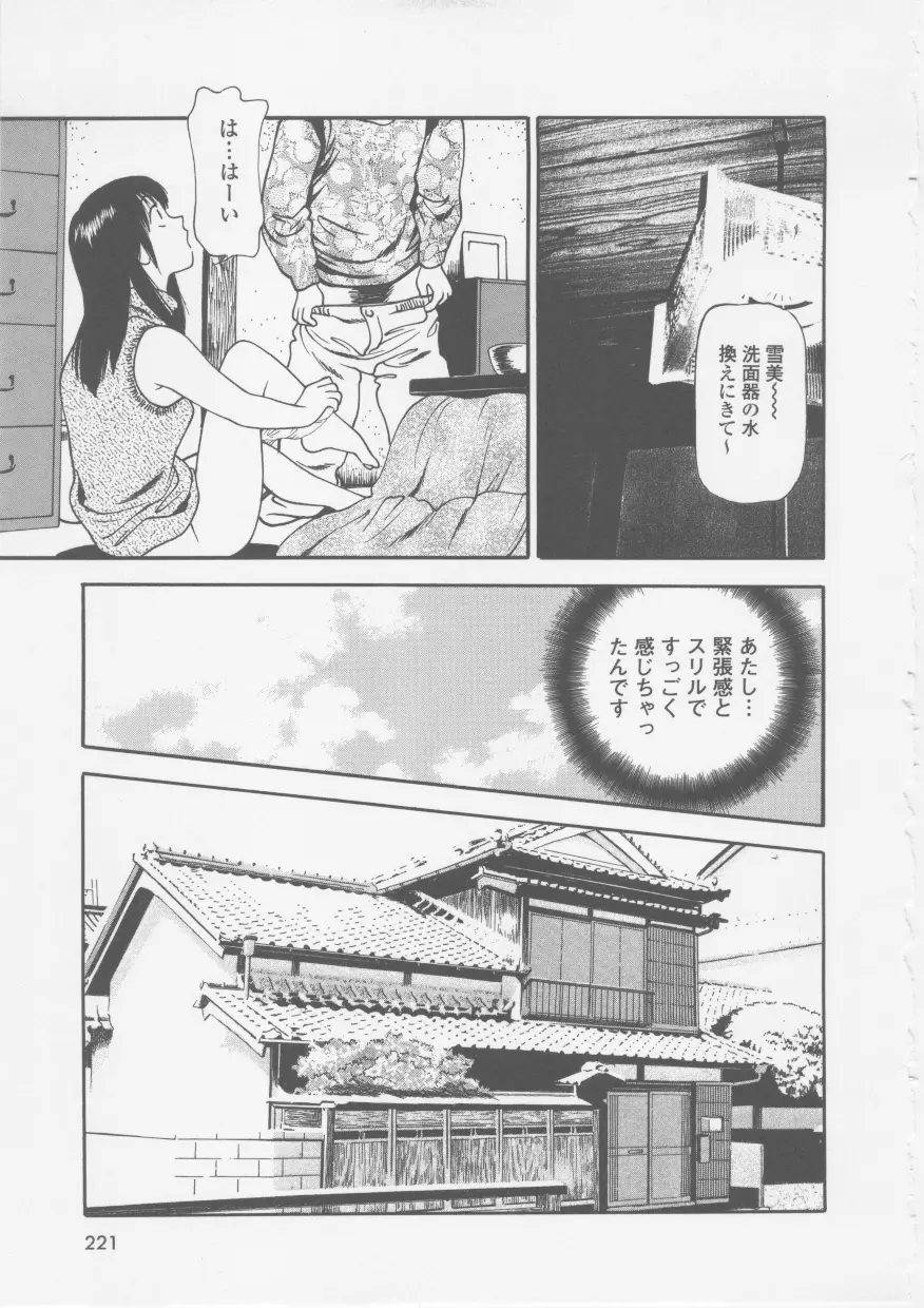 プラトニック破壊指令 Page.223