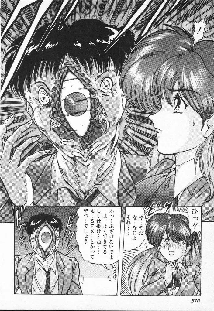 精霊特捜フェアリィセイバーVSグランバス Page.310