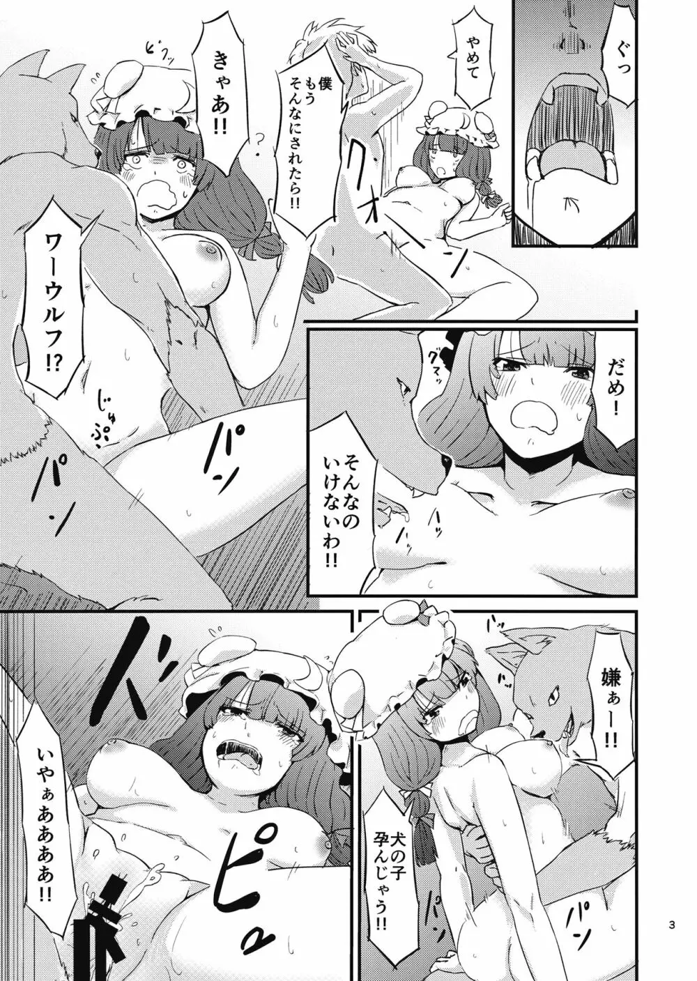 残念パチュリーのうっかり召喚術2 Page.4