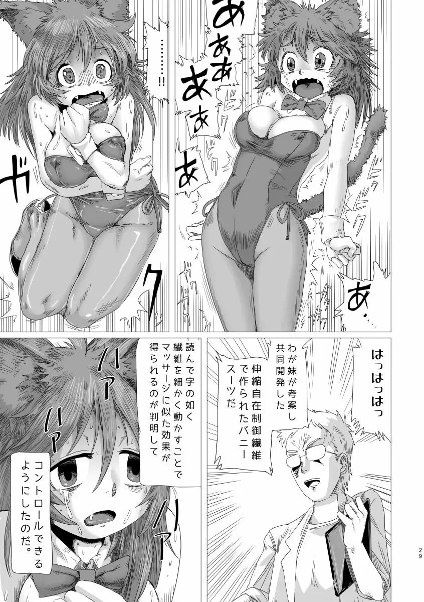 ルミクロ2 Page.28