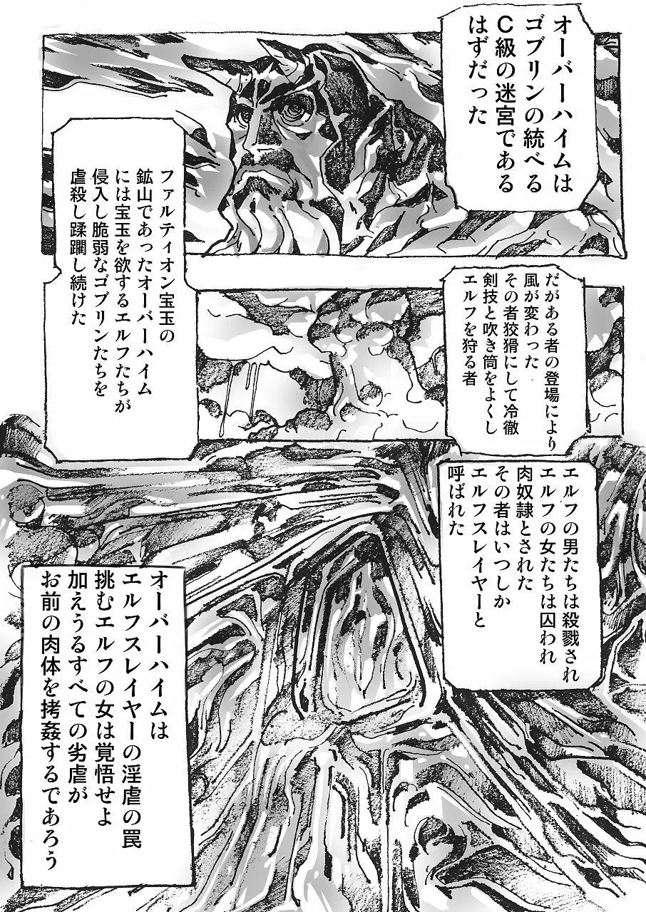 エルフ★スレイヤー Page.11