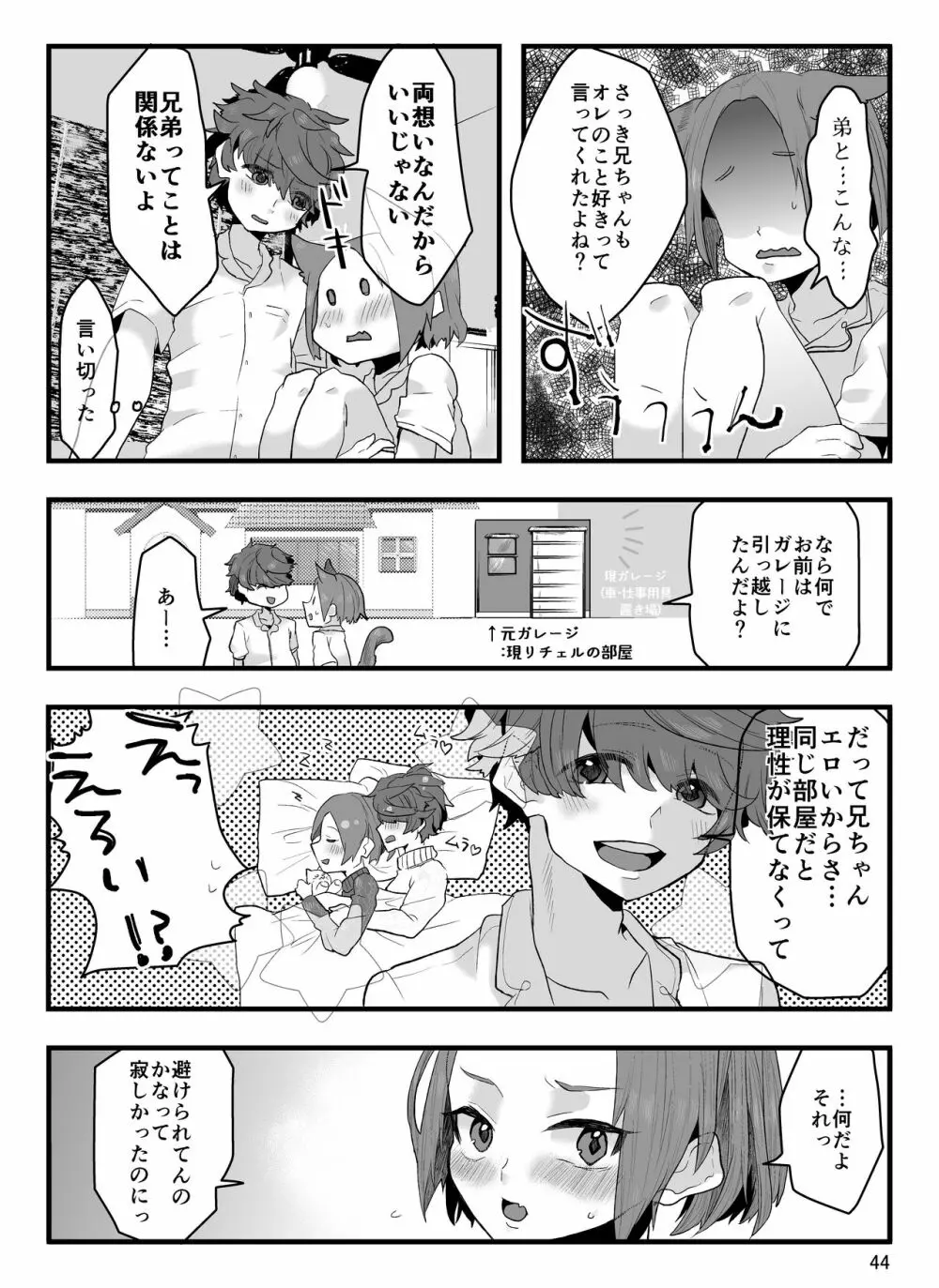 兄に呪いをかけました Page.45