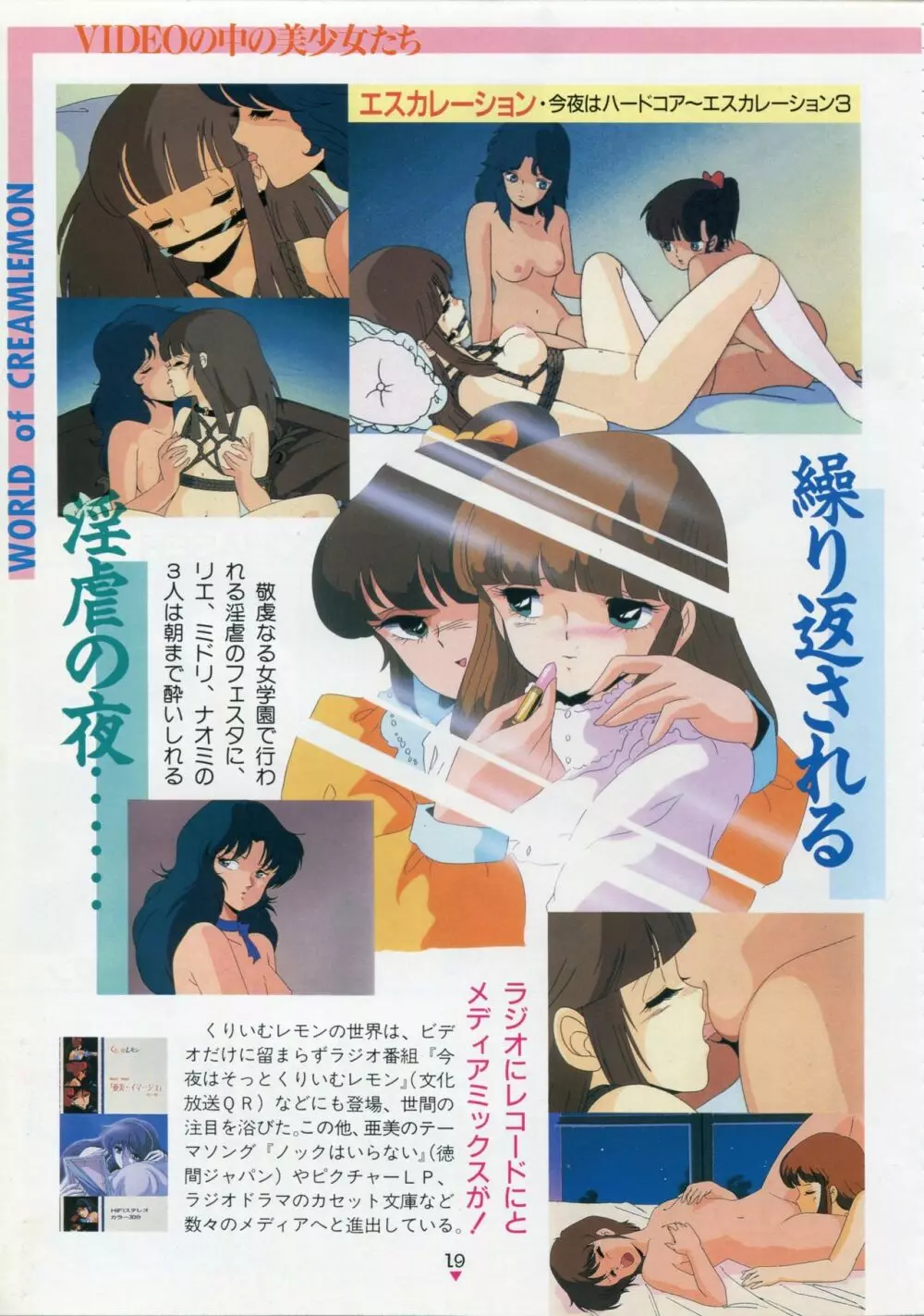 美少女アニメ大全集 - アダルトアニメビデオカタログ1991 Page.15