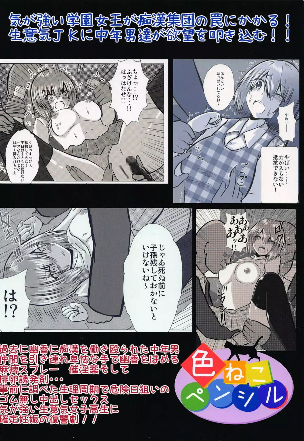 女子高生風見幽香痴漢電車被害 Page.25