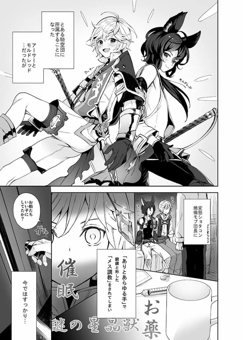 ショタ騎士催眠ペロペロ本 Page.2