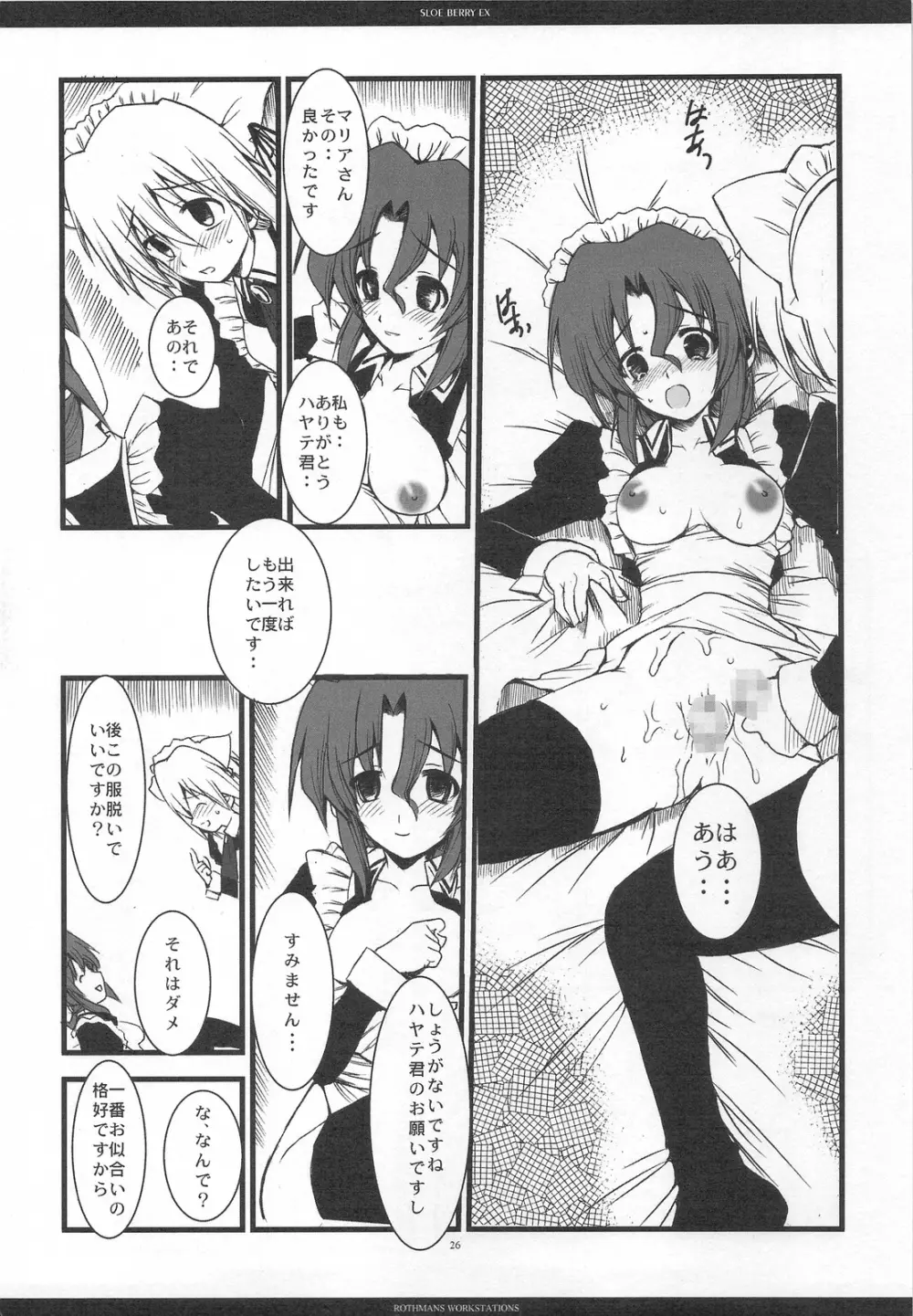 SLOE BERRY EX Page.23