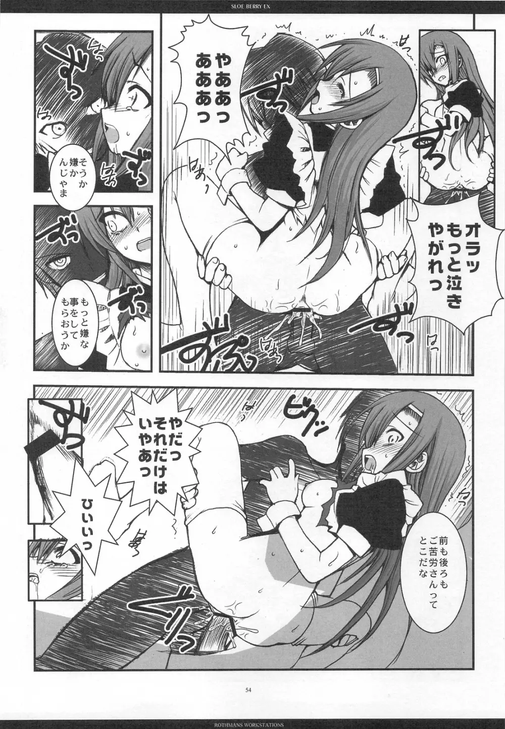 SLOE BERRY EX Page.51