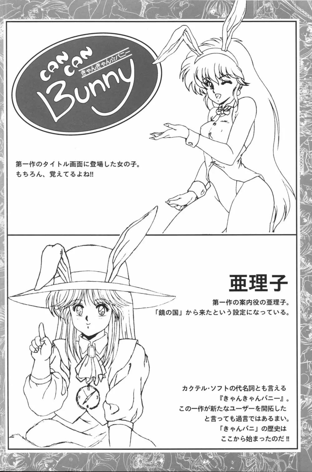 きゃんきゃんバニー設定資料集 Page.12