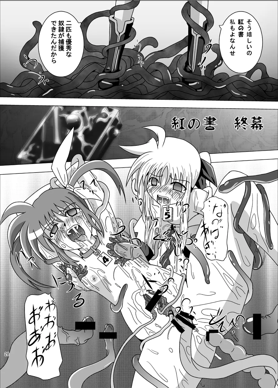 紅の書 ~フェ○ト編~ Page.29