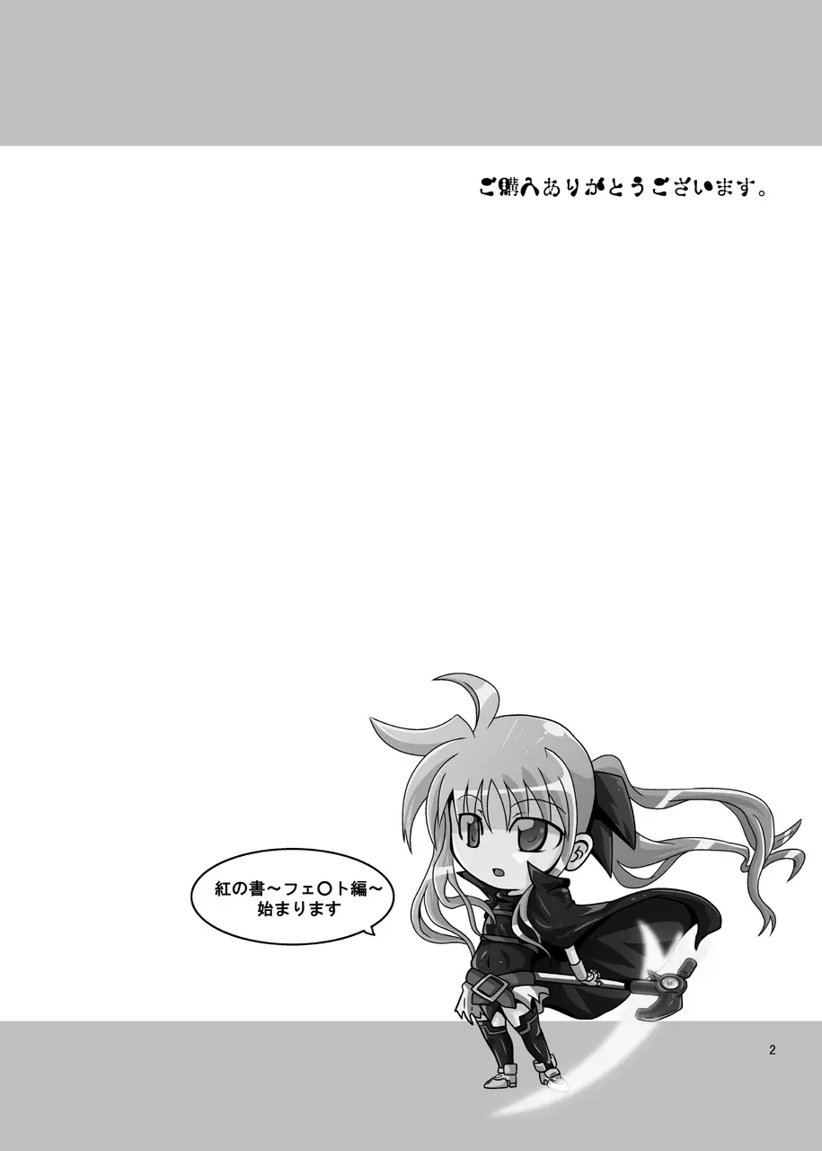 紅の書 ~フェ○ト編~ Page.3